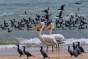 137 Walvisbaai, Namibie